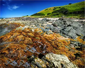 Rocky shoreline at Naracoopa, King Island Bass Strait, Tasmania, Australia