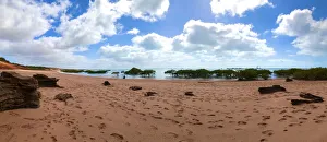 Roebuck Panoramic View