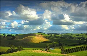 Rolling Landscape Prints: The rolling countryside in south Gippsland near the town of Fish Creek, Victoria