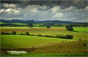 The rolling countryside in south Gippsland near the town of Fish Creek, Victoria