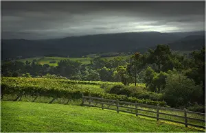 The Rolling hills at Riverstone, Yarra Valley, Victoria, Australia