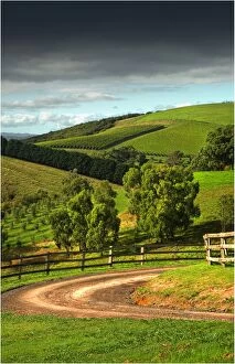 Images Dated 14th March 2011: The Rolling hills at Riverstone, Yarra Valley, Victoria, Australia