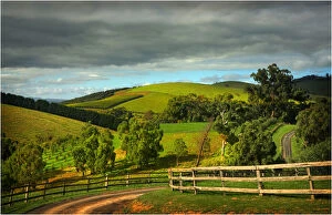 Images Dated 14th March 2011: The Rolling hills at Riverstone, Yarra Valley, Victoria, Australia