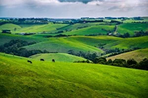 Images Dated 25th June 2016: Rolling hills of Victoria Gippsland