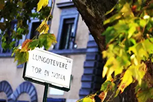 Antica Roma Prints: Rome, Lungotevere