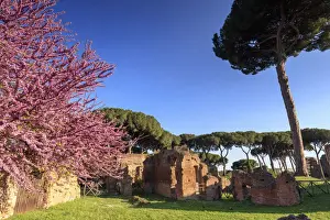 Cultures Prints: Rome, Palatine hill