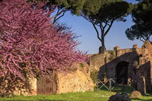 Classical Style Prints: Rome, Palatine hill