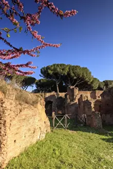 Classical Style Prints: Rome, Palatine hill