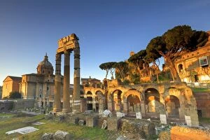 Images Dated 31st March 2016: Rome, Roman Forum