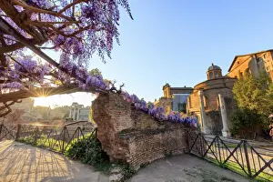 Classical Style Prints: Rome, Roman Forum