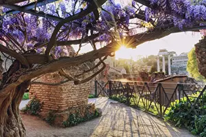 Classical Style Prints: Rome, Roman Forum