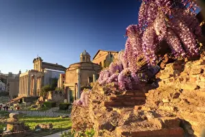 Rome, Roman Forum