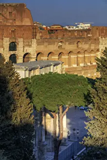 Medium Group Of People Prints: Rome, Roman Forum