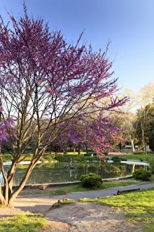 Antica Roma Prints: Rome, Villa Borghese