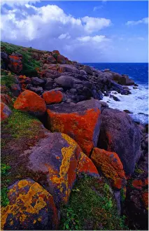 Images Dated 30th January 2013: The rugged and rocky coastline on Granite Island near Victor Harbour, south Australia