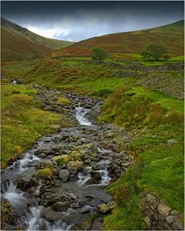 Images Dated 26th September 2011: A running brook in the Lake district, Cumbria, north west England, United kingdom