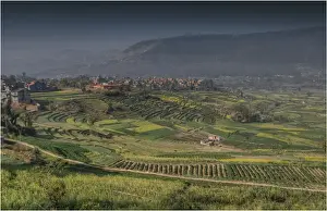 Nepal Prints: Rural scene and agricultural crop crowing near Newari, Western Himalayas, Nepal