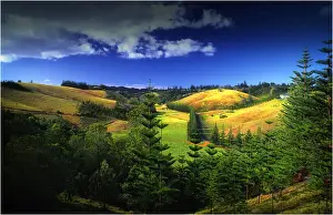 A rural scene on the Idyllic south pacific Norfolk Island