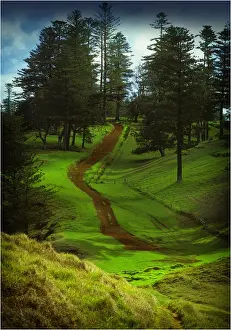 A rural scene on the Idyllic south pacific Norfolk Island