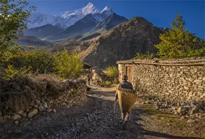 Himalayas Prints: A rural scene in Jomson, in the beautiful mountainous region of the Annapurnas, Nepal
