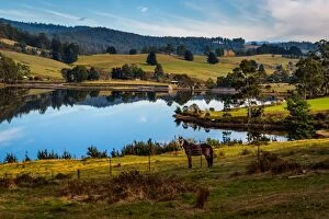 Images Dated 20th April 2016: Rural Tasmania at Huon Valley