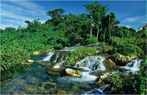 Efate Island Prints: Sacred pools, Island of Efate, Vanuatu