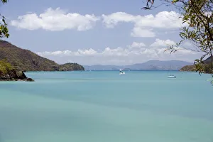 Sailing boats anchored in cove near Whitsunday Island, Whitsunday Islands, Queensland Sailing boats anchored in cove near Whitsunday Island, Whitsunday Islands, Queensland
