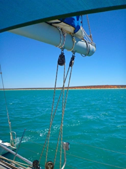 Monkey Mia Prints: Sailing on the Shotover catamaran at Monkey Mia Western Australia