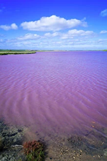Images Dated 27th September 2015: Saline pink lake of Coorong, South Australia