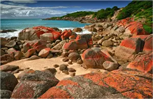 Images Dated 30th November 2012: Sand blow Point, east coastline of King Island Bass Strait, Tasmania, Australia