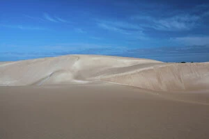 Ann Clarke Collection: Sand dunes