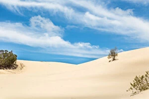 Fine Art Photography Collection: Sand dunes with blue skies and white clouds