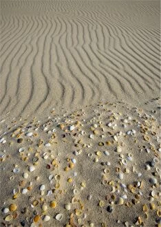 Images Dated 16th July 2014: Sand patterns on the beach, King Island Bass Strait, Tasmania, Australia