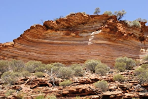 Sandstone strata on the bank of the Murchison River, Kalbarri National Park, Western Australia, Australia Sandstone strata on the bank of the Murchison River, Kalbarri National Park, Western Australia, Australia