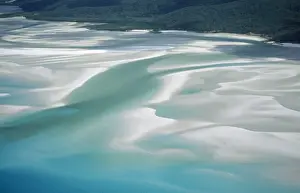Whitehaven Beach, Whitsunday Island Prints: Sandy Beach