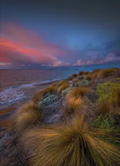 Images Dated 27th March 2015: Sawyers Bay Dawn