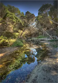 Images Dated 29th March 2013: Sawyers Bay, Flinders Island, part of the Furneaux group, eastern Bass Strait, Tasmania