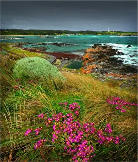 A scene from Currie Harbour, which is a safe anchorage for the local Crayfish (Lobster) industry. West coast of King Island, Bass Strait, Tasmania