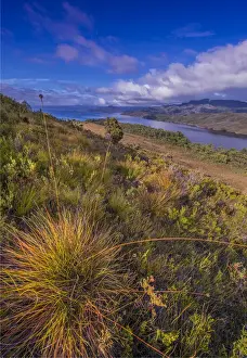 Images Dated 21st March 2017: Scenic view of Lake Pedder in the south west wilderness of Tasmania, Australia