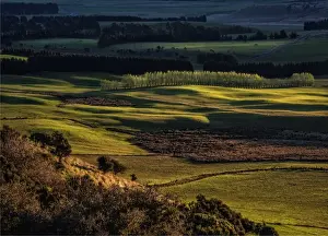 Te Anau Prints: Scenic view near Te-Anau in the late afternoon