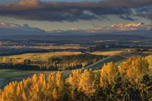 Scenic view near Te-Anau in the late afternoon, with Autumn colour display, South Island, New Zealand