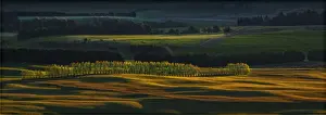 Te Anau Prints: Scenic view near Te-Anau in the late afternoon