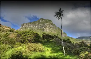 Scenically beautiful and a world heritage designated location, Lord Howe Island lies between the South Pacific ocean and the Tasman sea off the coast of New South Wales, Australia