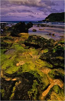 Scenically beautiful and a world heritage designated location, Lord Howe Island lies between the South Pacific ocean and the Tasman sea off the coast of New South Wales, Australia