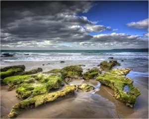 Sea Elephant bay, east coastline of King Island Bass Strait, Tasmania, Australia