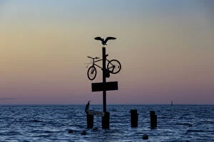 Images Dated 27th September 2018: A seagull spreads its wings on a bicycle at the seaside
