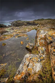 Images Dated 23rd November 2013: Seal bay and the coastline in the south of King Island, Bass Strait, Tasmania, Australia