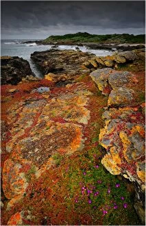 Images Dated 1st November 2010: Seal bay and the coastline in the south of King Island, Bass Strait, Tasmania, Australia