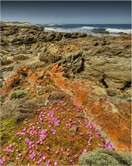 Images Dated 10th November 2012: Seal bay and the coastline in the south of King Island, Bass Strait, Tasmania, Australia
