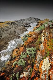 Images Dated 4th September 2010: Seal bay, isolated, and extremely rugged and rocky coastline